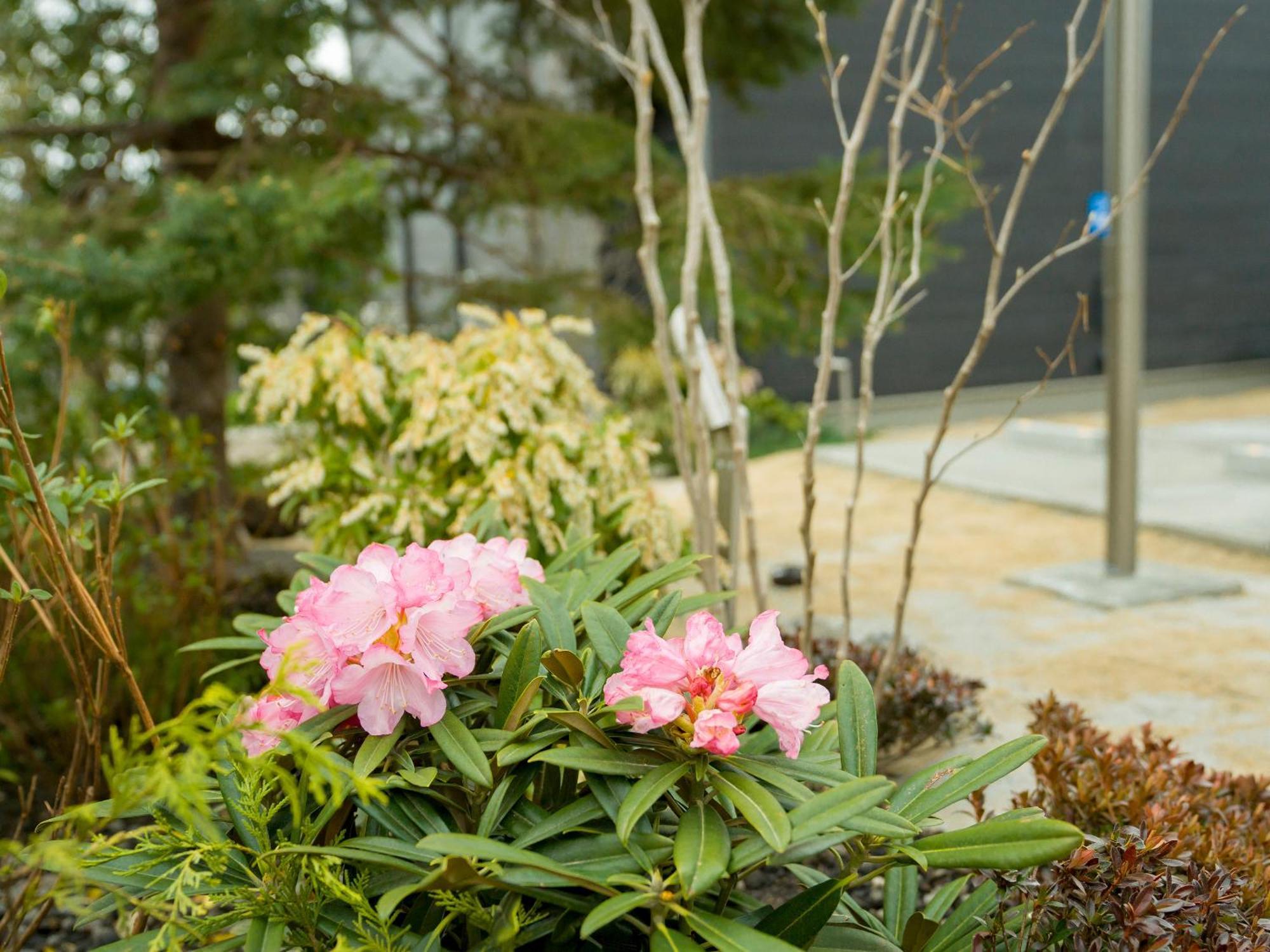 Rakuten Stay Villa Yatsugatake Hokuto  Exterior photo