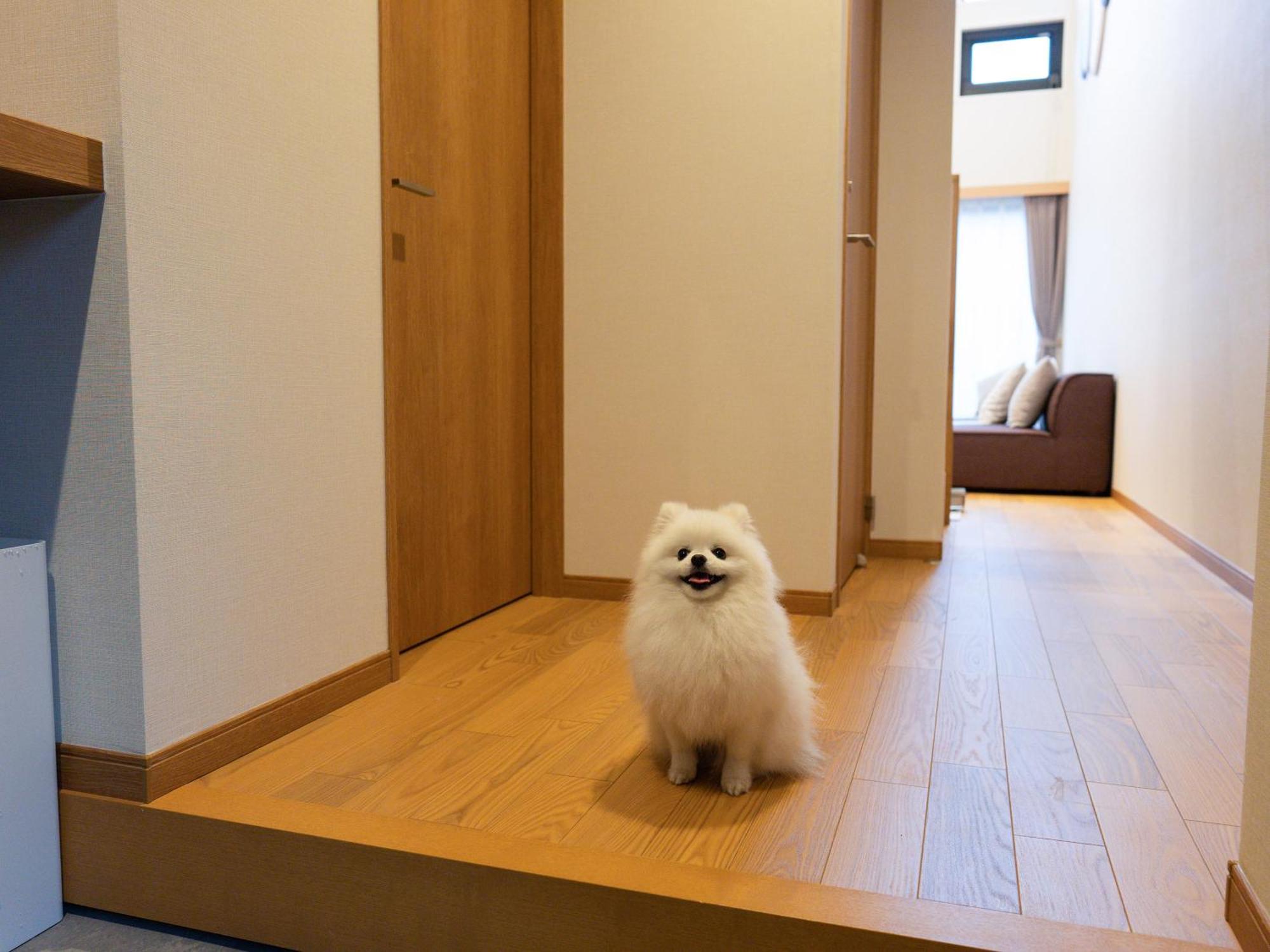 Rakuten Stay Villa Yatsugatake Hokuto  Exterior photo