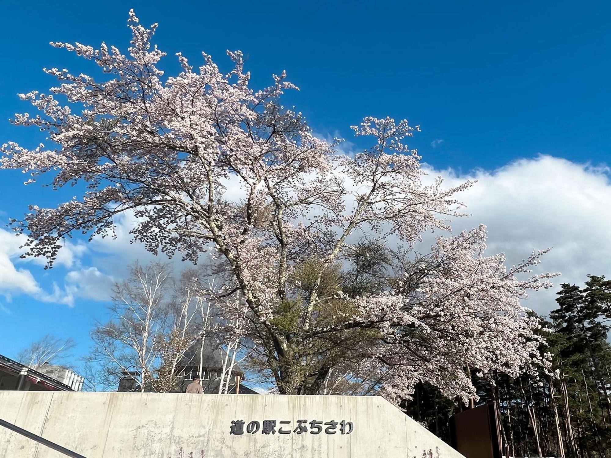 Rakuten Stay Villa Yatsugatake Hokuto  Exterior photo